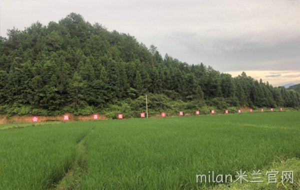 基地展示