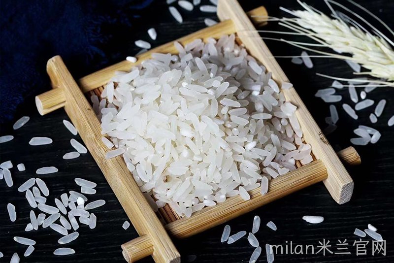 milan米兰官网有机高山冷水米